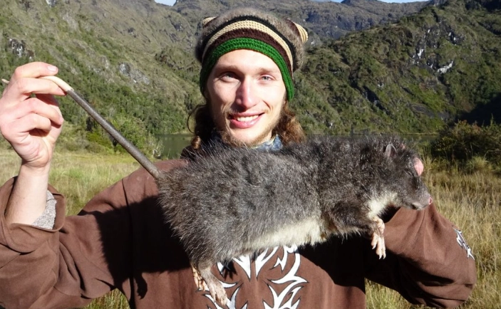 most endangered rat species