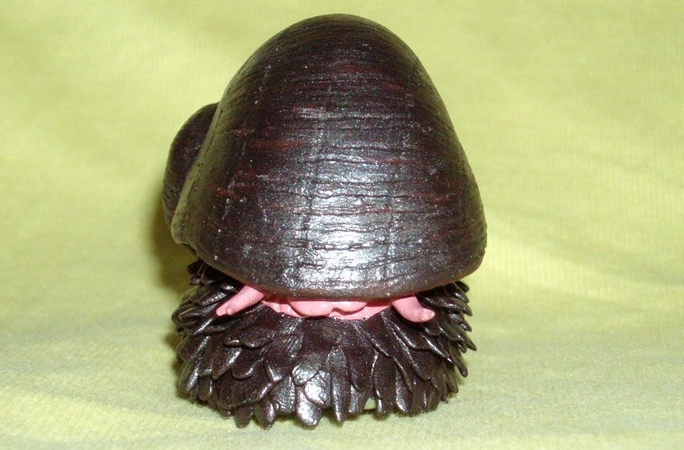 scaly-foot gastropod diet