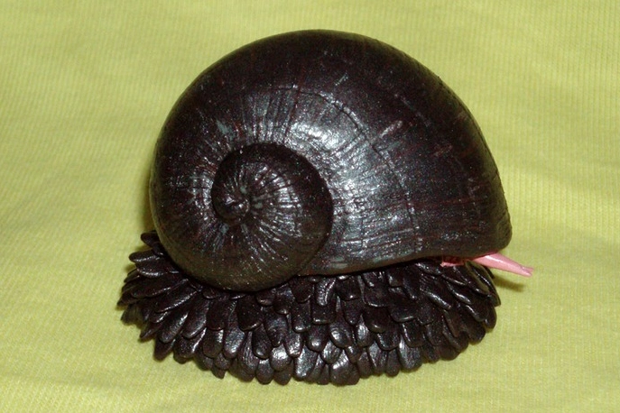 Chrysomallon squamiferum size