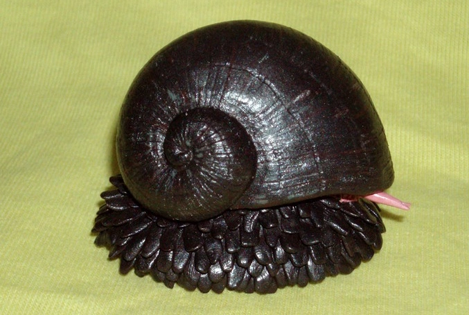 what do scaly-foot gastropods eat