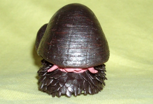 deep sea hydrothermal vent snail deep sea hydrothermal vent snail