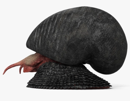 scaly-foot snail pet