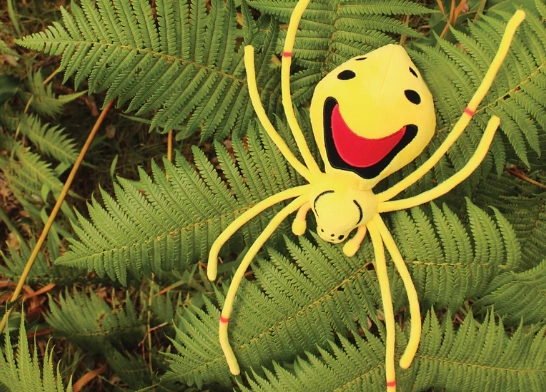 spider with smiley face