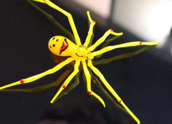 Are smiley face spiders poisonous?