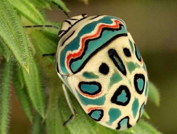 AI image generator security