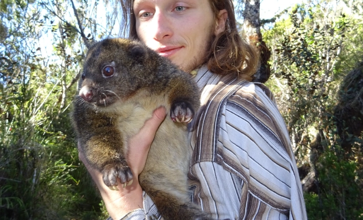 predation ecology predation ecology