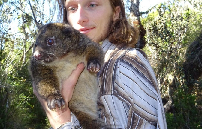 Subalpine woolly rat