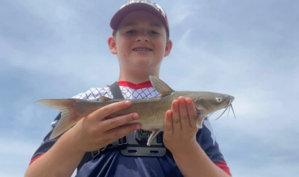 unpredictable catfish behavior