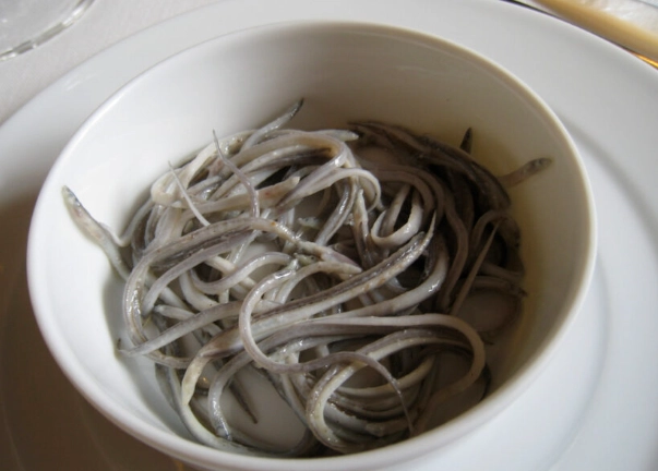 raising baby eels