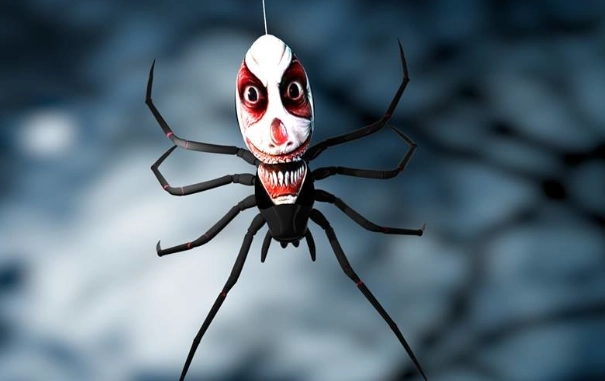 spider identification guide