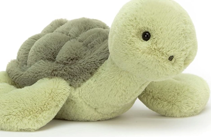 transparent caterpillar