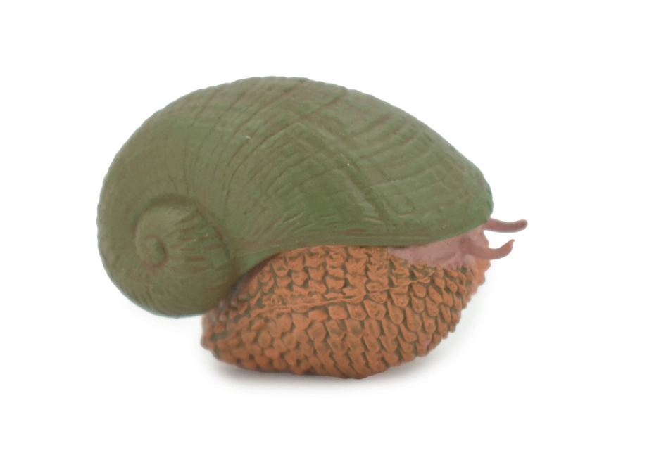 hydrothermal vent snail