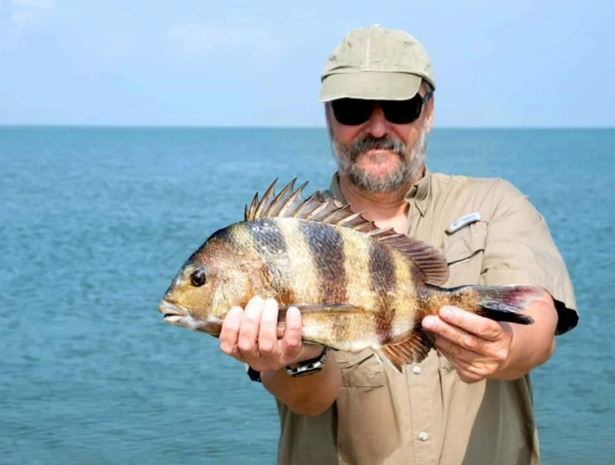 human teeth fish species