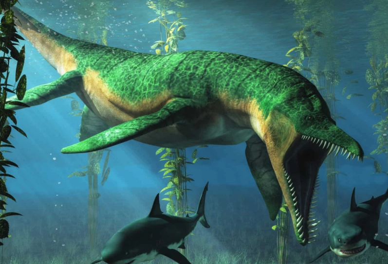 ancient predators comparison ancient predators comparison