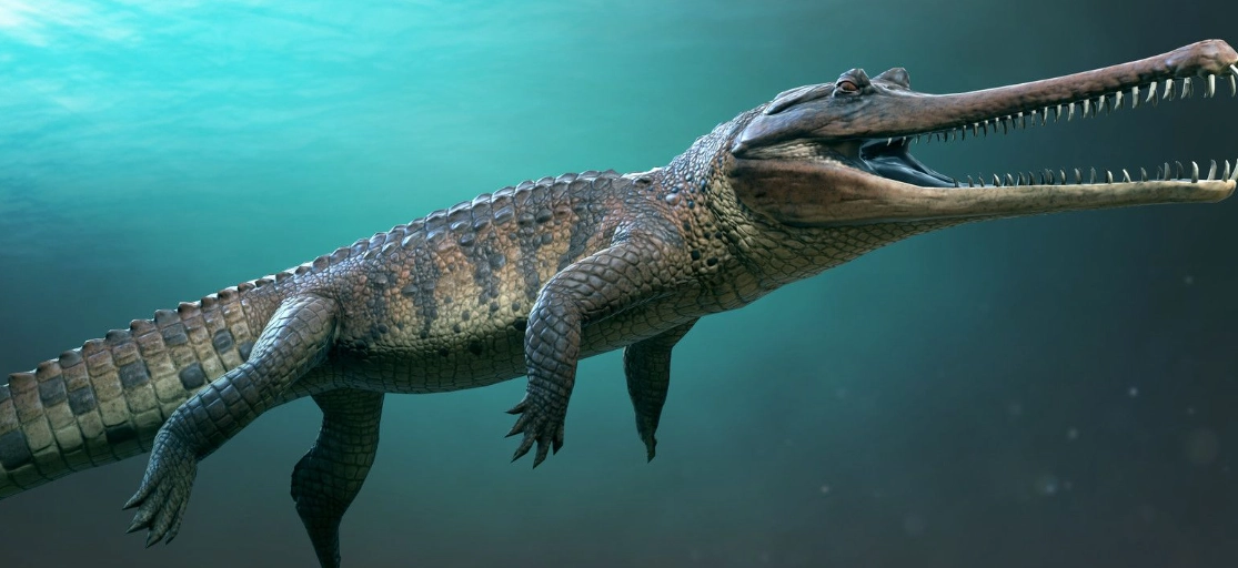 Crocodile shark dinosaur